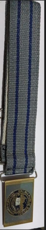 11 GREY/BLUE (DALMIYA PUBLIC SCHOOL)